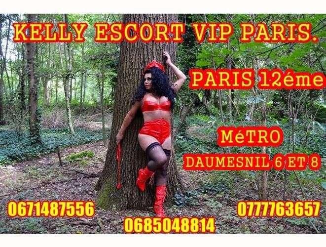 Kelly trans 23cm a paris 12eme daumesnil