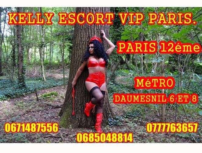 Kelly trans 23cm a paris 12eme daumesnil