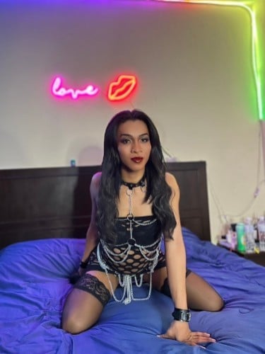 Escort trans Annie à Le Havre