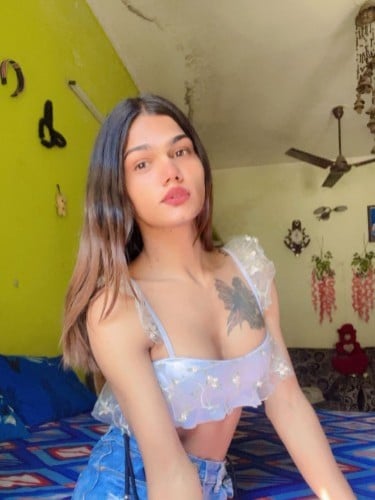 Escort trans Vish à Le Havre