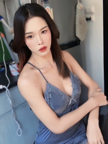 Escort trans Plamy à Toulouse